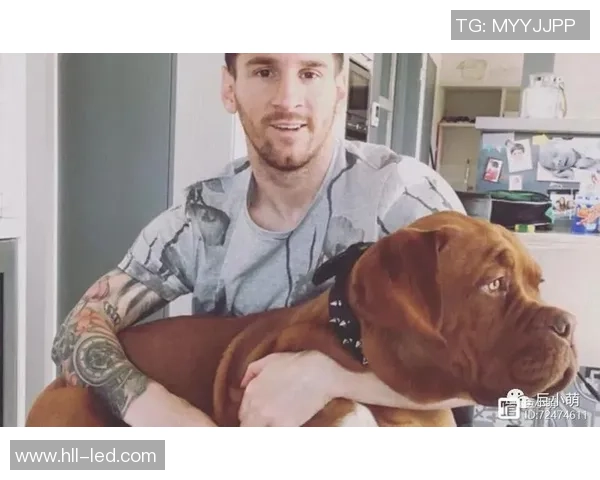 足球明星宠物狗大揭秘：他们钟爱哪些品种的狗狗陪伴生活